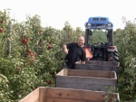 Aart Blom, Fruitpartners Blom: "Goede kwaliteit hardfruit zie ik niet in prijs zakken"